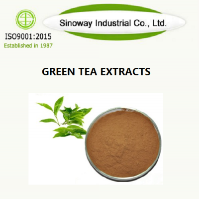 green tea extract powder