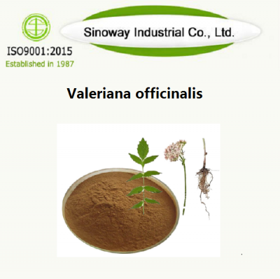 Valeriana officinalis Supplier -Sinoway