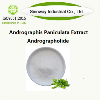 Andrographis Paniculata Extract / Andrographolide,Buy Andrographis ...