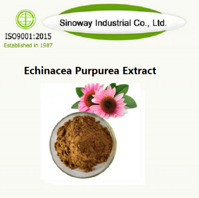 Echinacea Extract