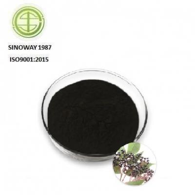 Elderberry Fruit Extract