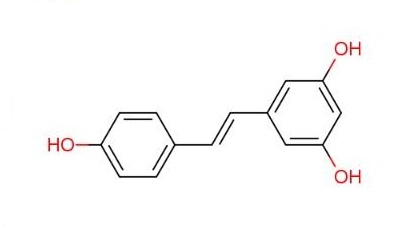 Nano Active Series